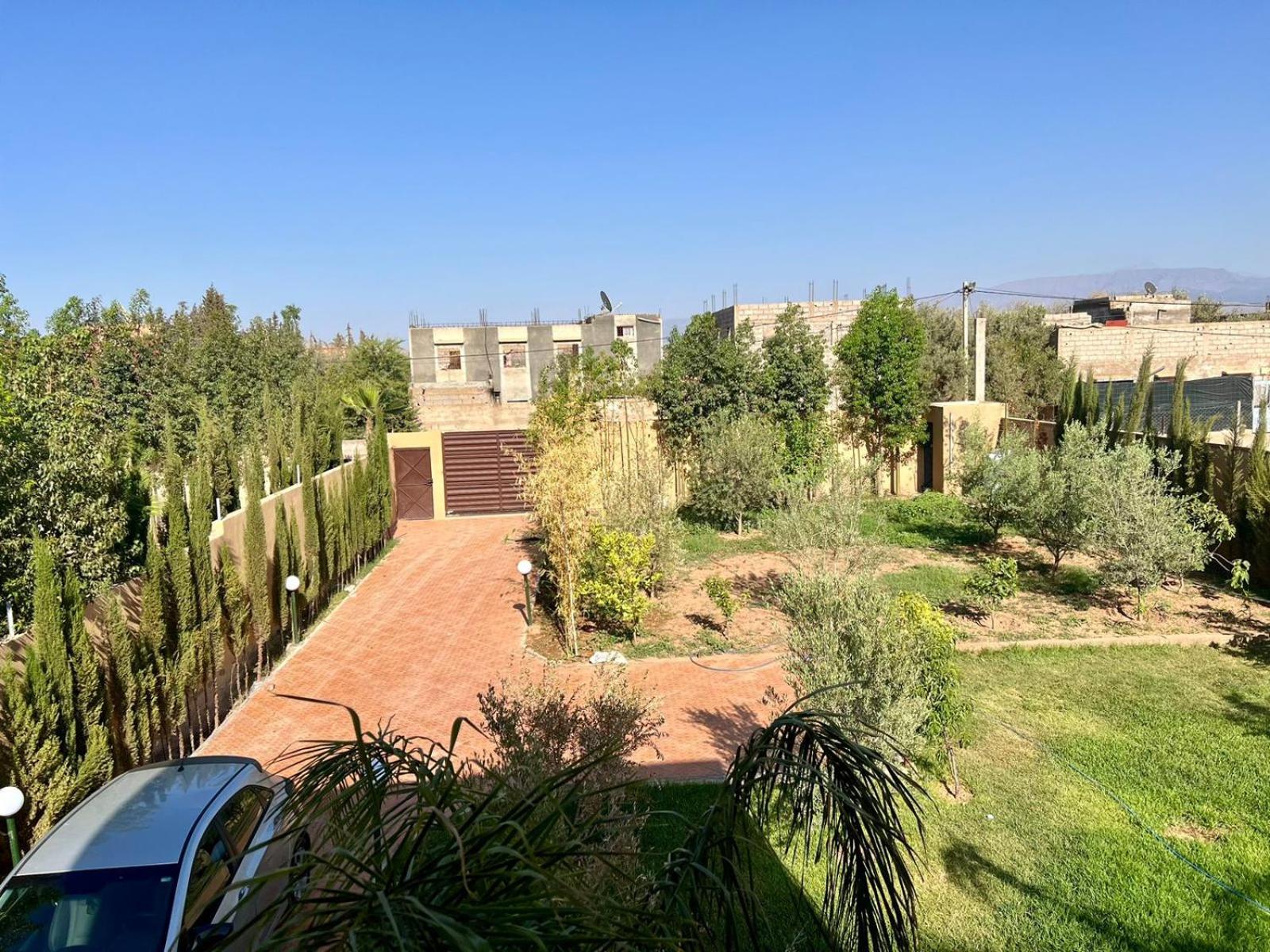 Hiba Atlas * Marrakesch